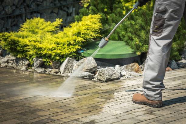 Best Solar Panel Cleaning  in Whittier, CA